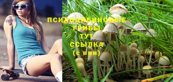 гидропоника Арсеньев