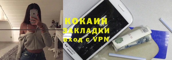 молекула духа Покров