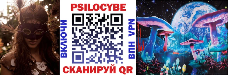 дарк нет телеграм  Изобильный  Галлюциногенные грибы Psilocybe 